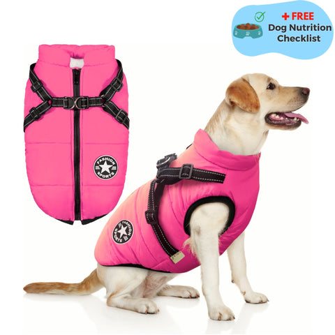 Pawly™ Waterproof Winter Jacket With Built-In Harness