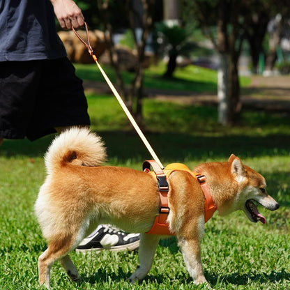 Pawly™ All-In One Harness